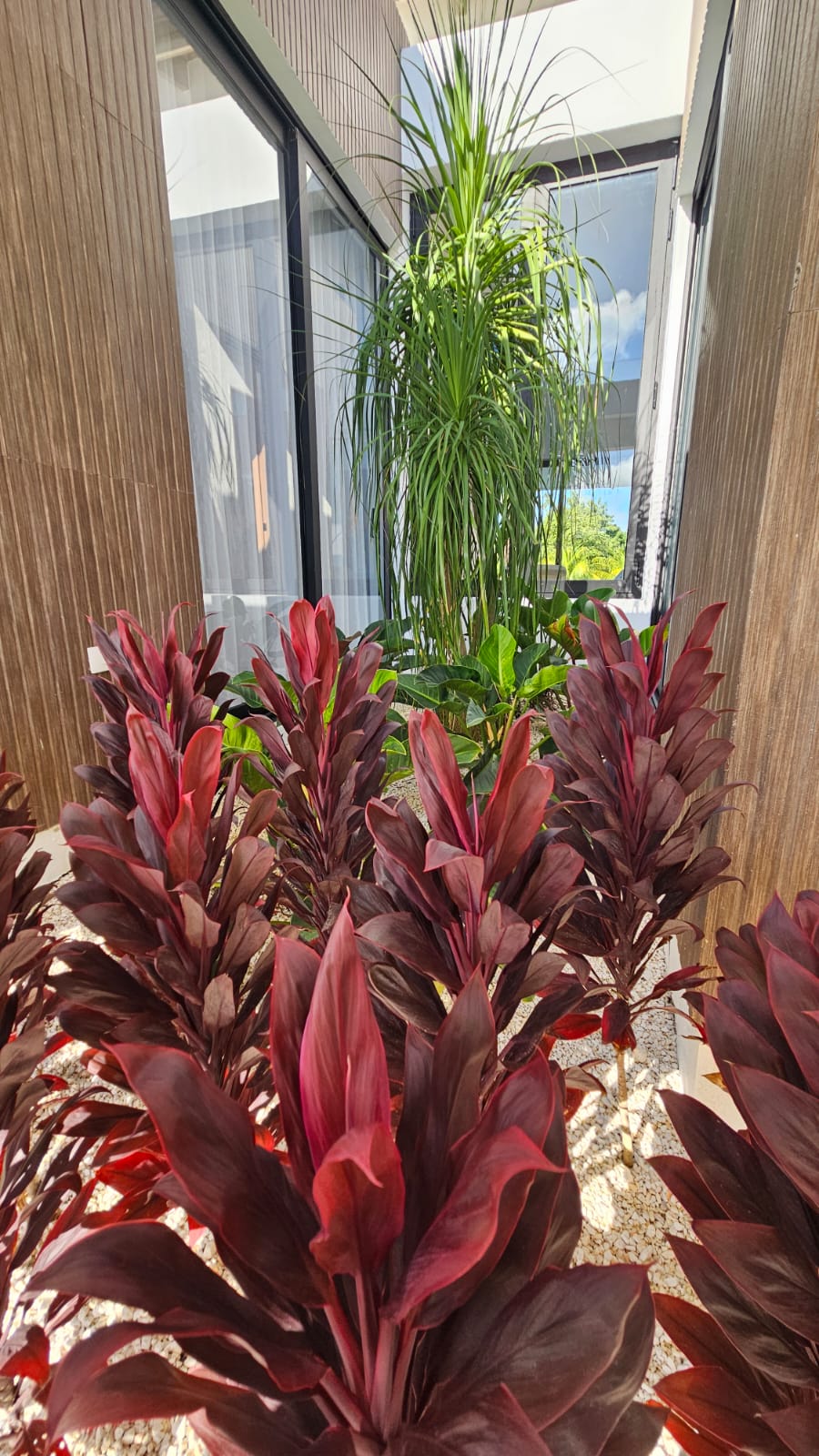 WhatsApp Image 2025-11-26 at 10.08.48 AM